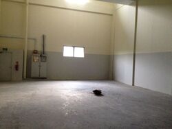 West Point Bizhub (D22), Factory #447621941